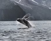 Alaska