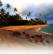 Caribbean beach